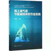 海上油气田节能减排良好作业实践