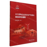 [N]水力发电企业安全生产标准化综合评价细则-1551984249