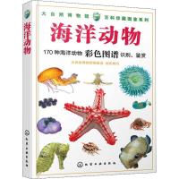 大自然博物馆·百科珍藏图鉴系列--海洋动物