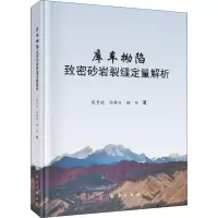 库车拗陷致密砂岩裂缝定量解析