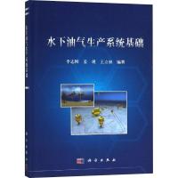 水下油气生产系统基础