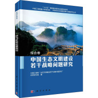 中国生态文明建设若干战略问题研究
