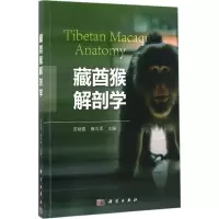 藏酋猴解剖学