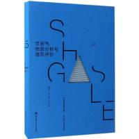 页岩气地质分析与选区评价