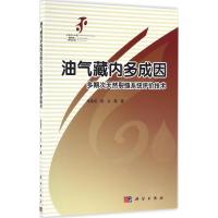 油气藏内多成因多期次天然裂缝系统评价技术