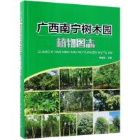 广西南宁树木园植物图志(精)