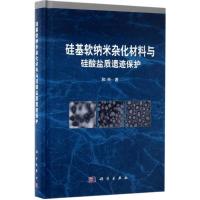 硅基软纳米杂化材料与硅酸盐质遗迹保护