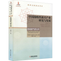 中国战略性新兴产业研究与发展