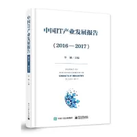 中国IT产业发展报告(2016-2017)