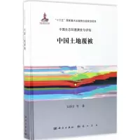 中国土地覆被