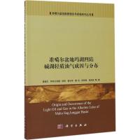 准噶尔盆地玛湖凹陷碱湖轻质油气成因与分布