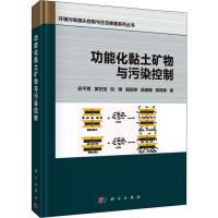 功能化黏土矿物与污染控制