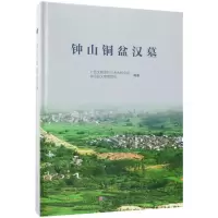 钟山铜盆汉墓