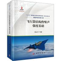 飞行器结构热噪声强度基础