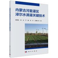 内蒙古河套灌区淖尔水滴灌关键技术