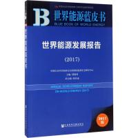 世界能源发展报告.2017