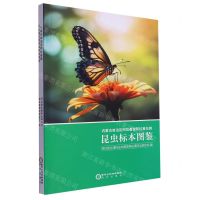 [N]内蒙古自治区阿拉善盟阿拉善左旗昆虫标本图鉴-9787552570083