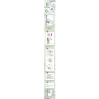 [正版]掉落亲签版 乌白.2 完结篇 这碗粥 经典“颜色”系列力作 高冷忠犬男学霸x坚韧怪力女学渣 新增出版番外 都市