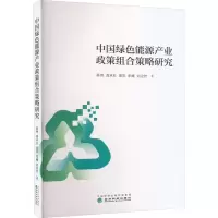 中国绿色能源产业政策组合策略研究