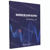 [N]电网投资分析与评价-9787519875879