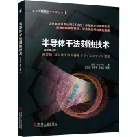 半导体干法刻蚀技术(原书第2版)