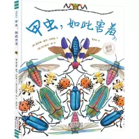 甲虫,如此害羞-美丽成长