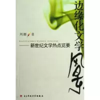 [M]边缘化文学风景-9787564709969