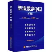 塑造数字中国(全4册)