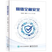 [N]网络空间安全-9787121461118