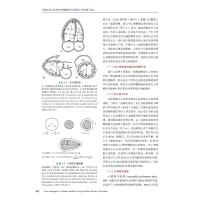 儿童及成人先天性心脏病超声心动图学(原书第3版)