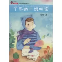 丁冬的一级机密