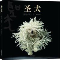 [M]圣犬-9787802366138