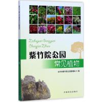 紫竹院公园常见植物