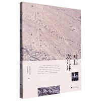 [N]中国坎儿井-9787308175463