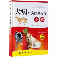 [N]犬病针灸按摩治疗图解-9787122334329