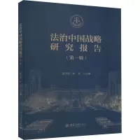 法治中国战略研究报告(2022)