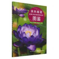 [N]澳系睡莲品种及高效栽培技术图鉴-9787109308862