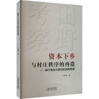 资本下乡与村庄秩序的再造