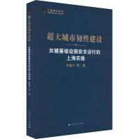 超大城市韧性建设 关键基础设施安全运行的上海实践