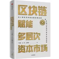 [N]区块链赋能多层次资本市场-9787521727562
