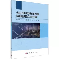 先进串联型电压质量控制器理论及应用