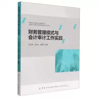 [N]财务管理模式与会计审计工作实践-9787522903705