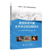 [N]致密砂岩气藏水平井分段压裂技术-9787511468284
