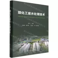 [N]煤化工废水处理技术(精)-9787122410986