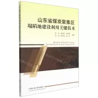 [N]山东省煤炭聚集区塌陷地建设利用关键技术-9787564649555