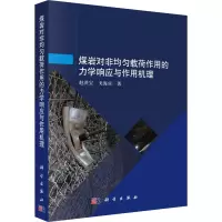 煤岩对非均匀载荷作用的力学响应与作用机理