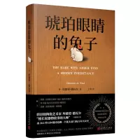 琥珀眼睛的兔子