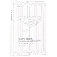 [N]紧急中的冥想(精)/副本译丛-9787541148866