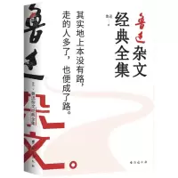 [N]鲁迅杂文经典全集-9787516834374