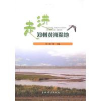 [M]走进郑州黄河湿地-9787503859038